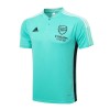 Arsenal Tränings Polo 2022-23 Grön